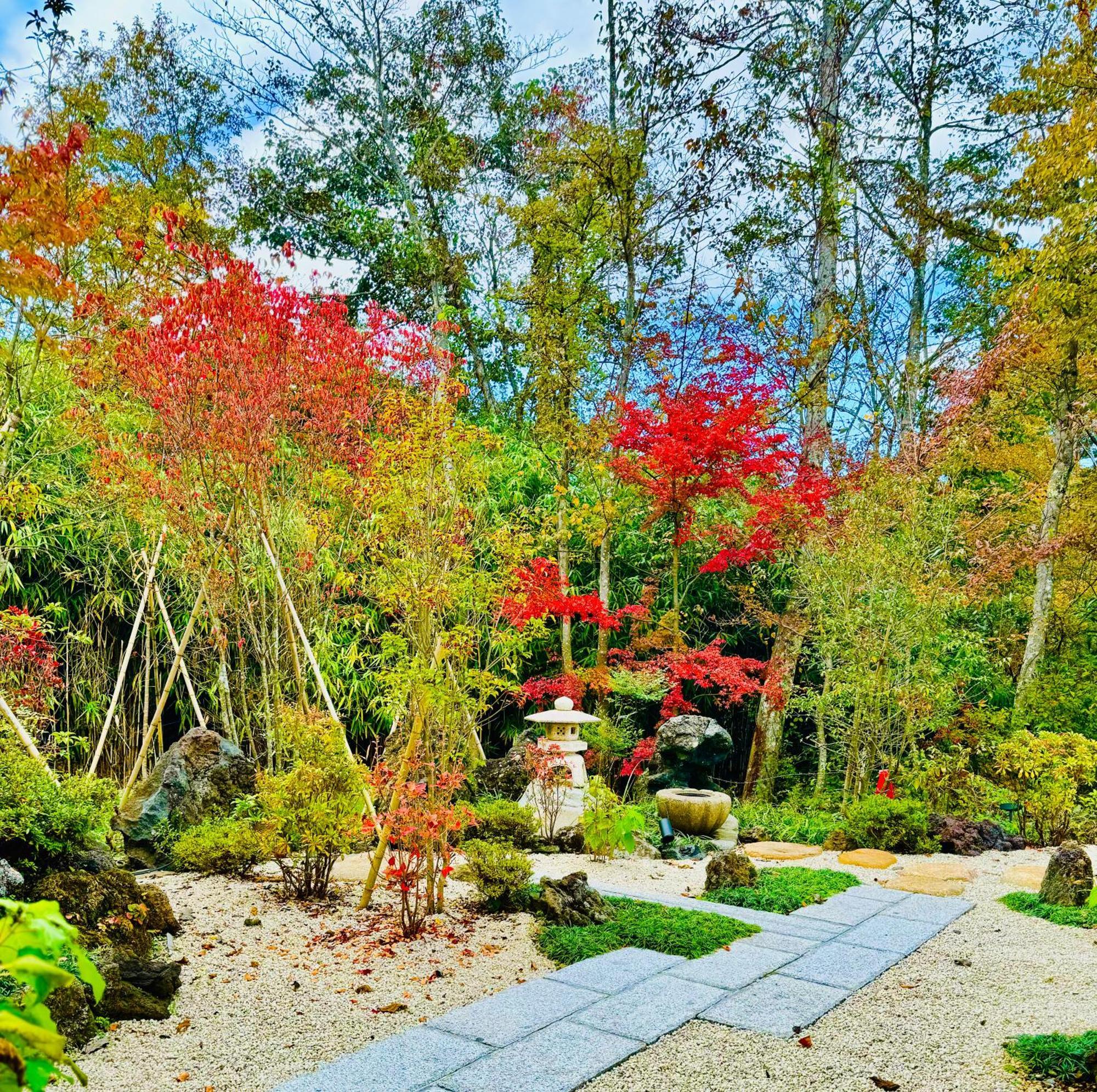 Private Villa Ietona Fujikawaguchiko Dış mekan fotoğraf